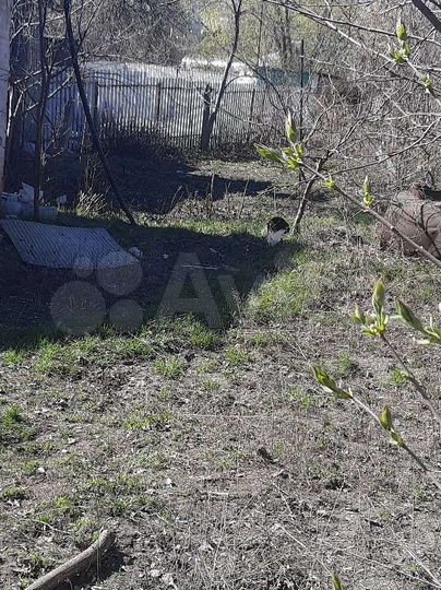 Участок 4,9 сот. (ИЖС)