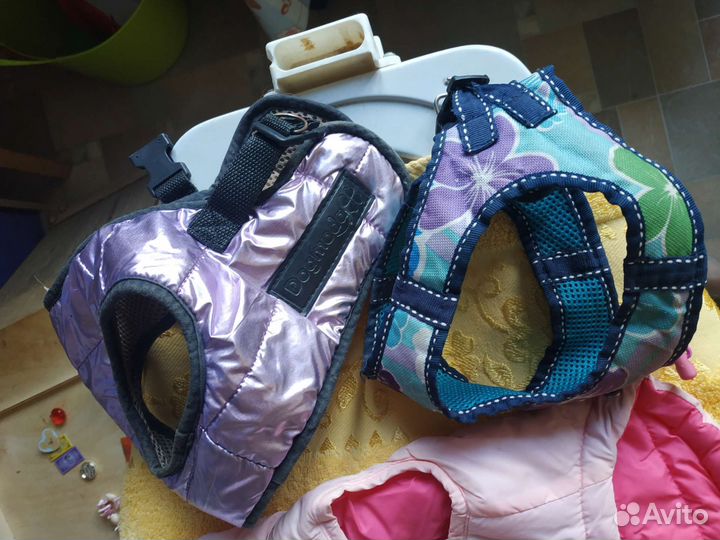 Одежда для маленькой собачки, шлейки, поводок