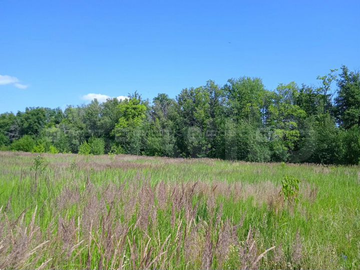 Участок 14 сот. (ИЖС)