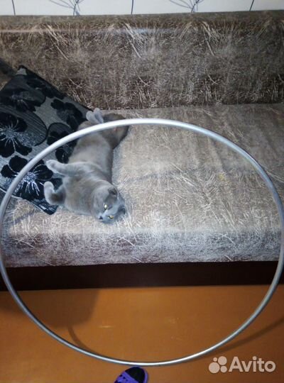 Хулахуп обруч