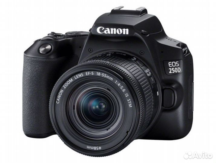 Зеркальный фотоаппарат Canon EOS 250D