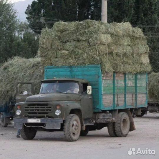 Сено луговое в тюках