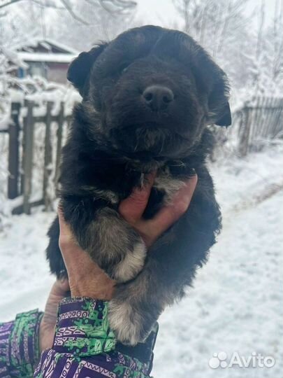 А у нас прибавление- разбираем)