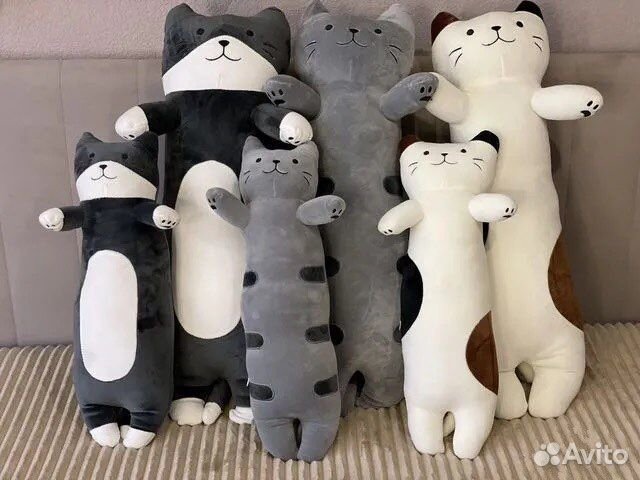 Кот батон/хаски с пледом