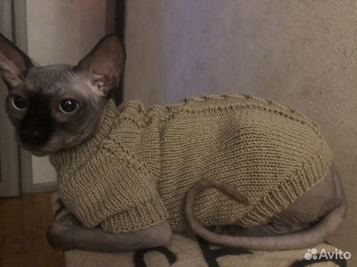 Одежда для Сфинкса,котов и собак