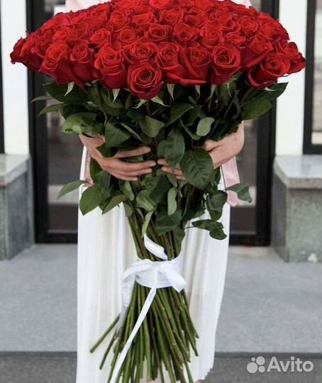 Высокие розы Гигантские розы с доставкой