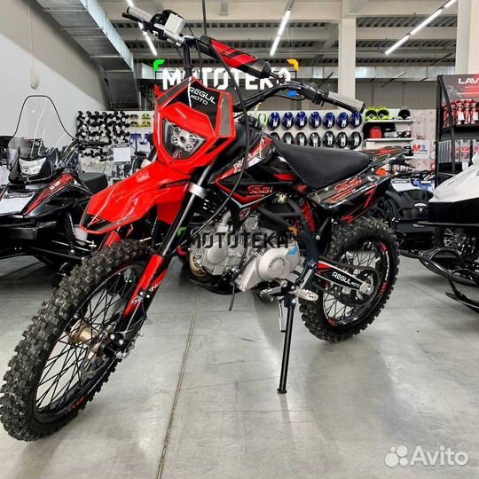 Regulmoto seven medalist PRO 150 (140cc) 19/16