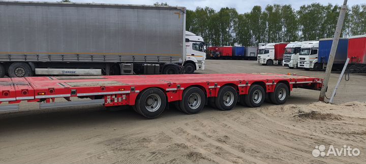 Полуприцеп трал (тяжеловоз) Тверьстроймаш 993951, 2022