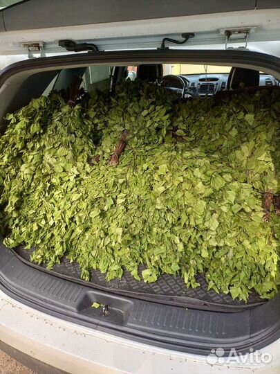 Березовые веники