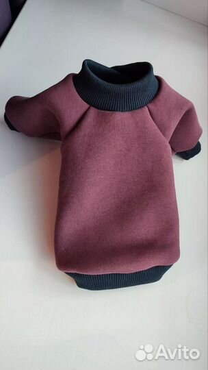 Худи для собак мелких пород