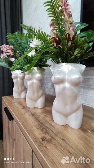 Сухоцветы в вазе, зелень в гипс кашпо для декора