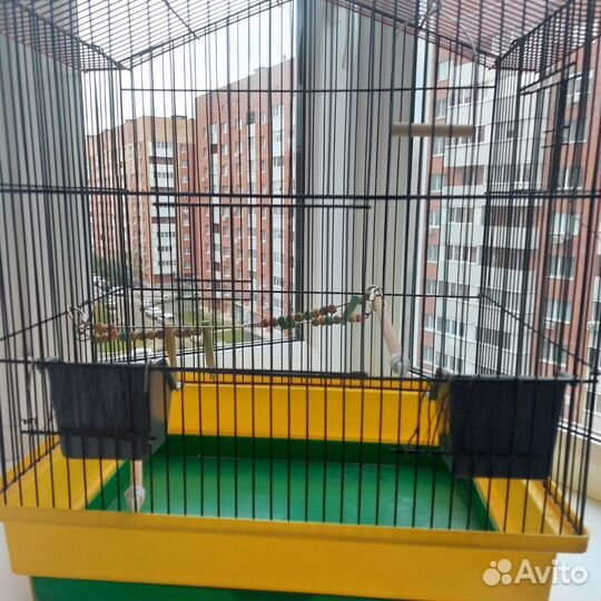 Клетка для попугая