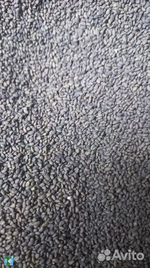 Семена эспарцета,суданки,Люцерны,Разнотравье