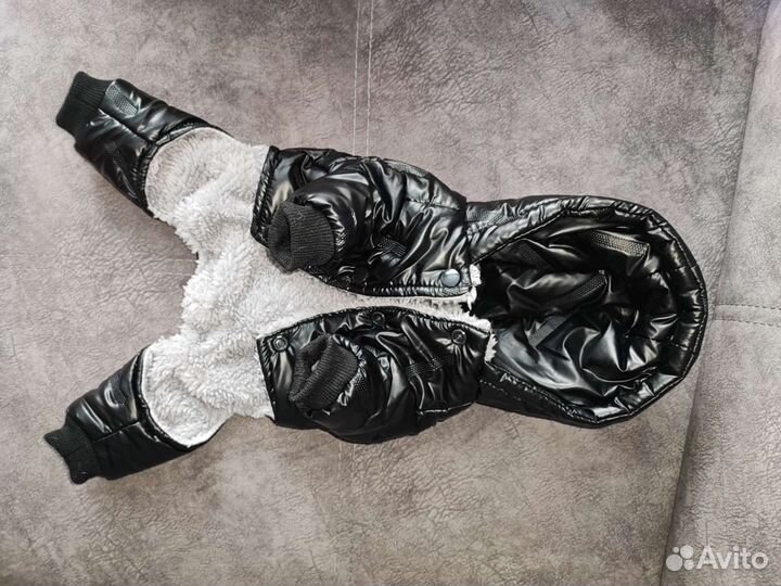 Комбинезон для собаки