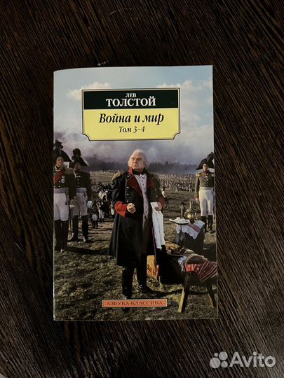 Книга девушка в поезде, сумерки, война и мир