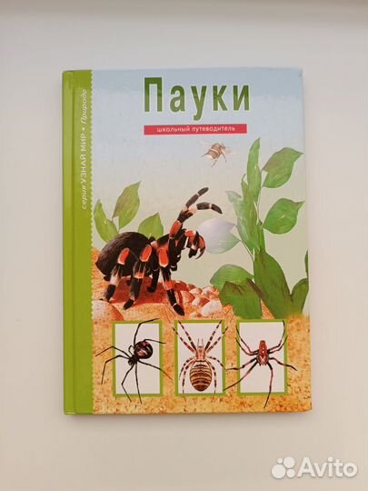 Пауки, школьный путеводитель,детская энциклопедия