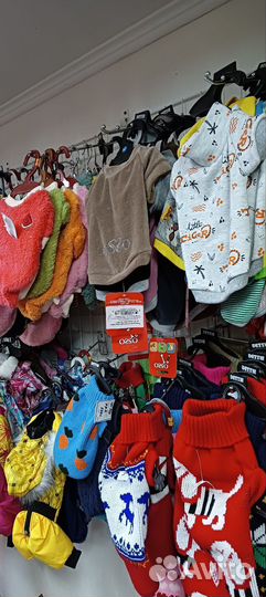 Одежда для собак