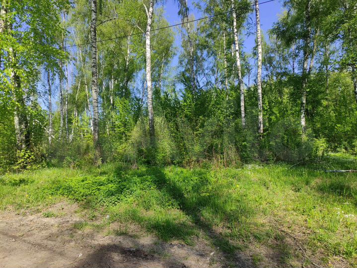 Участок 10 сот. (ИЖС)