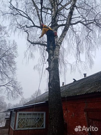 Спил деревьев, удаление, аварийные, сухие