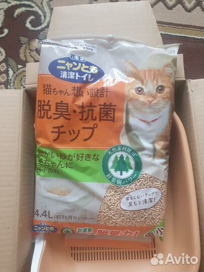 Системный лоток для котят