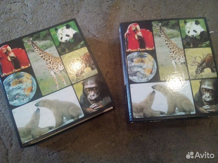 Карточки в мире дикой природы