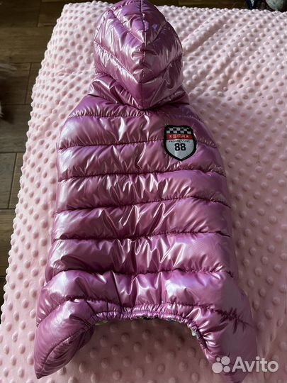 Комбинезон для маленькой собаки