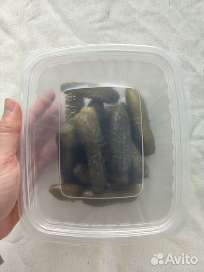 Огурцы бочковые