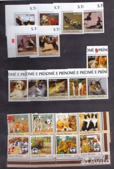 Чистые марки фауна, 33