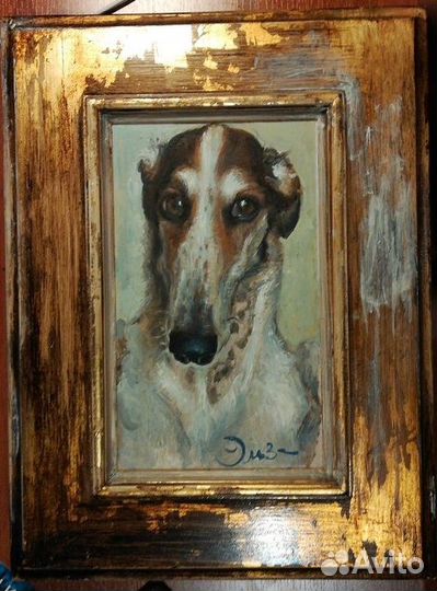 Портрет собак