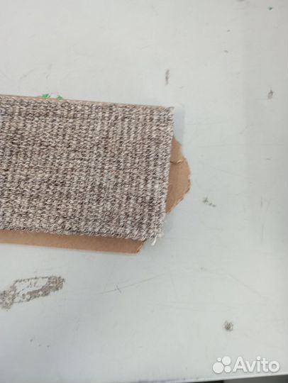 Когтеточка