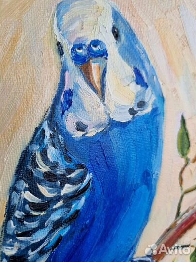 Попугайчик картина Попугай волнистый маслом