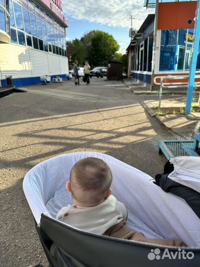 Коляска 2 в 1 bebetto