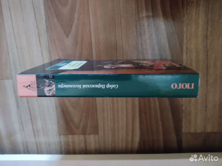 Виктор гюго Собор Парижской Богоматери