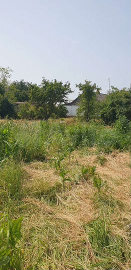 Участок 25 сот. (ИЖС)