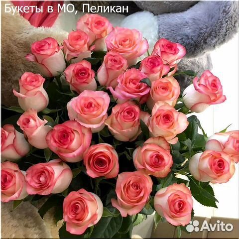 Цветы розы