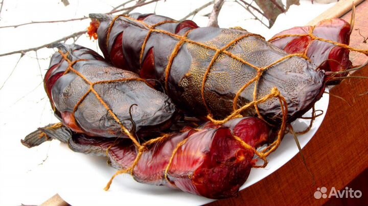 Мраморный сом