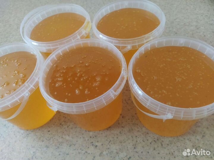 Мед свежий 2023