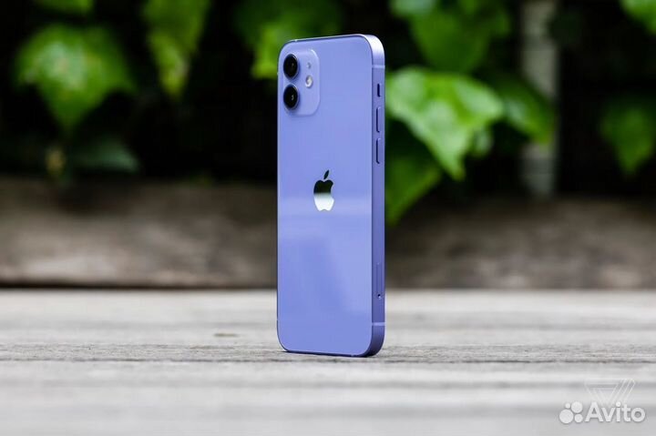 iPhone 12 на 128 GB Purple доставка по России