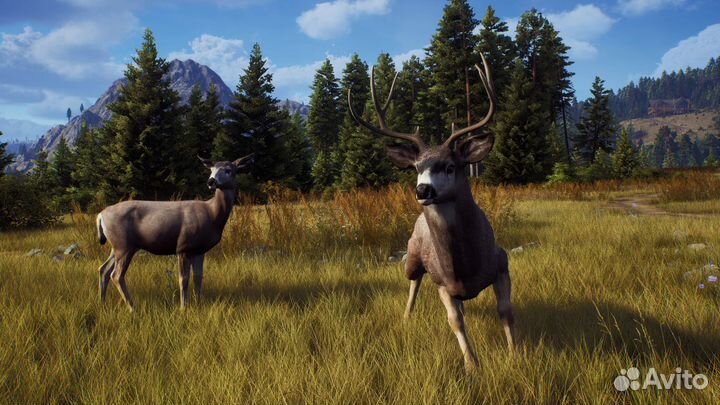 Way of the Hunter: Elite Edition Xbox