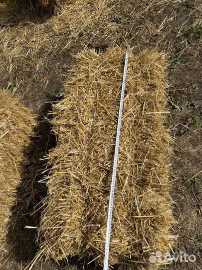 Солома в тюках гороховый, пшеничный, ячмень