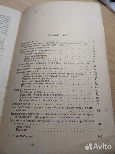 Смородина и крыжовник Рыбицкий Н. А