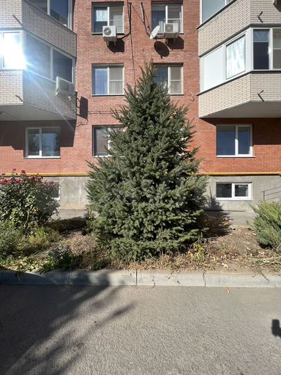 2-к. квартира, 61,1 м², 6/7 эт.