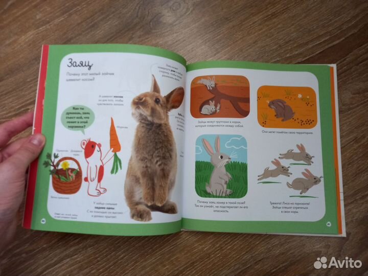 Книги для детей про динозавров и животных