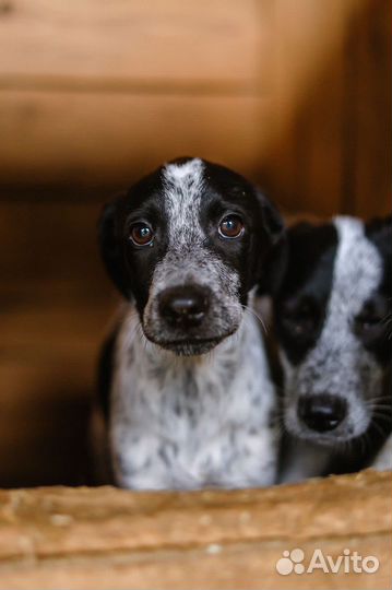 Помогите малышке