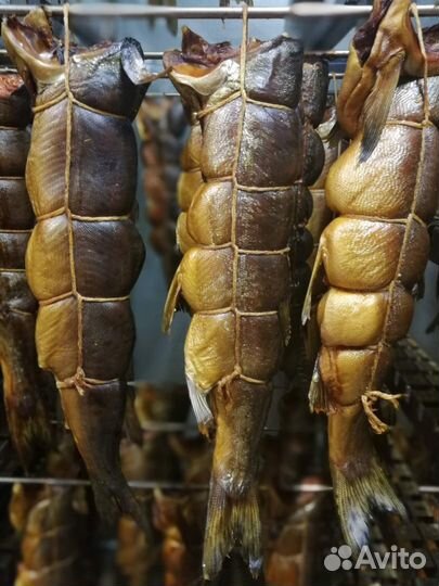 Рыба Горбуша горячего копчения