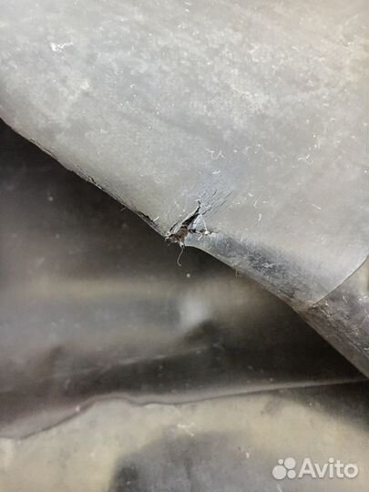 Сапоги бродни болотные 42