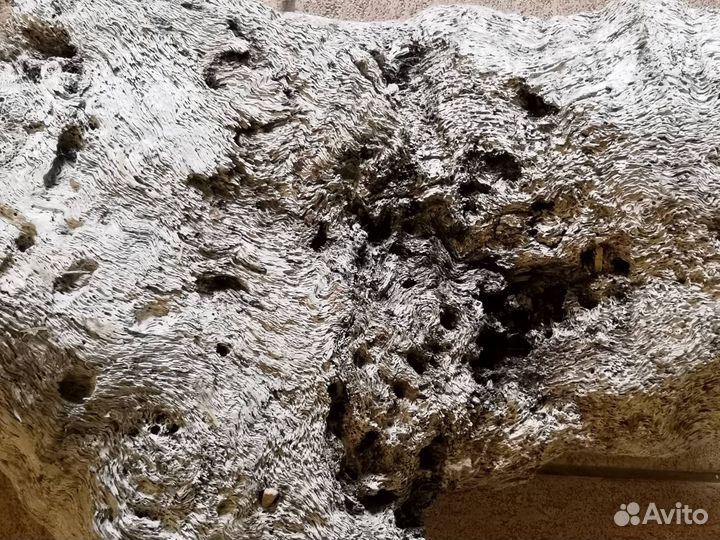 Арт-объект Морское Дерево большой дрифтвуд