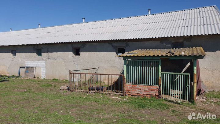 Животноводческая ферма продаю