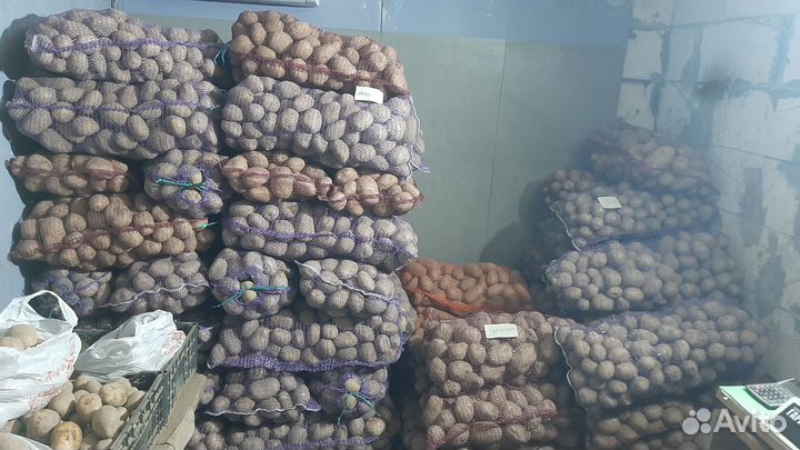 Картофель с доставкой мелодия, редсоня,Карелия