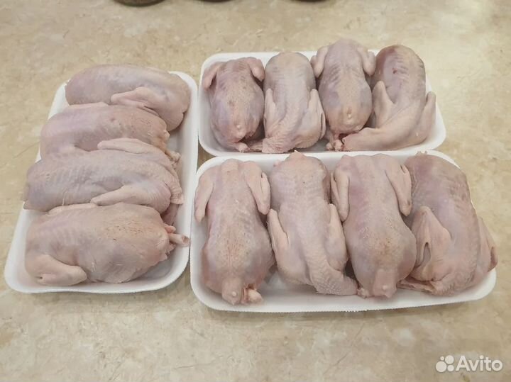 Мясо перепела